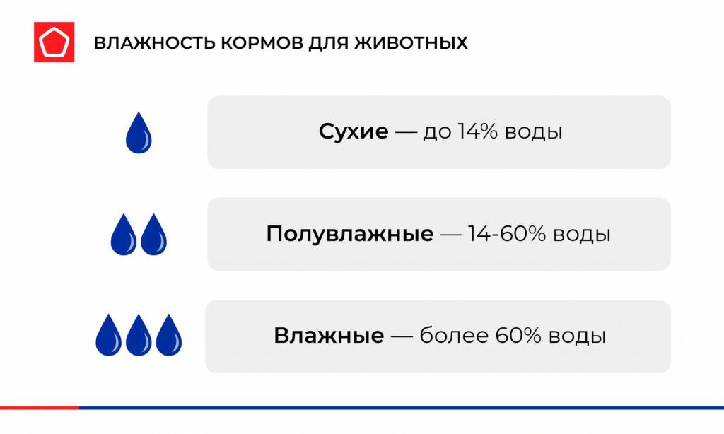 Сколько воды в кормах для кошек Сколько воды в кормах для кошек